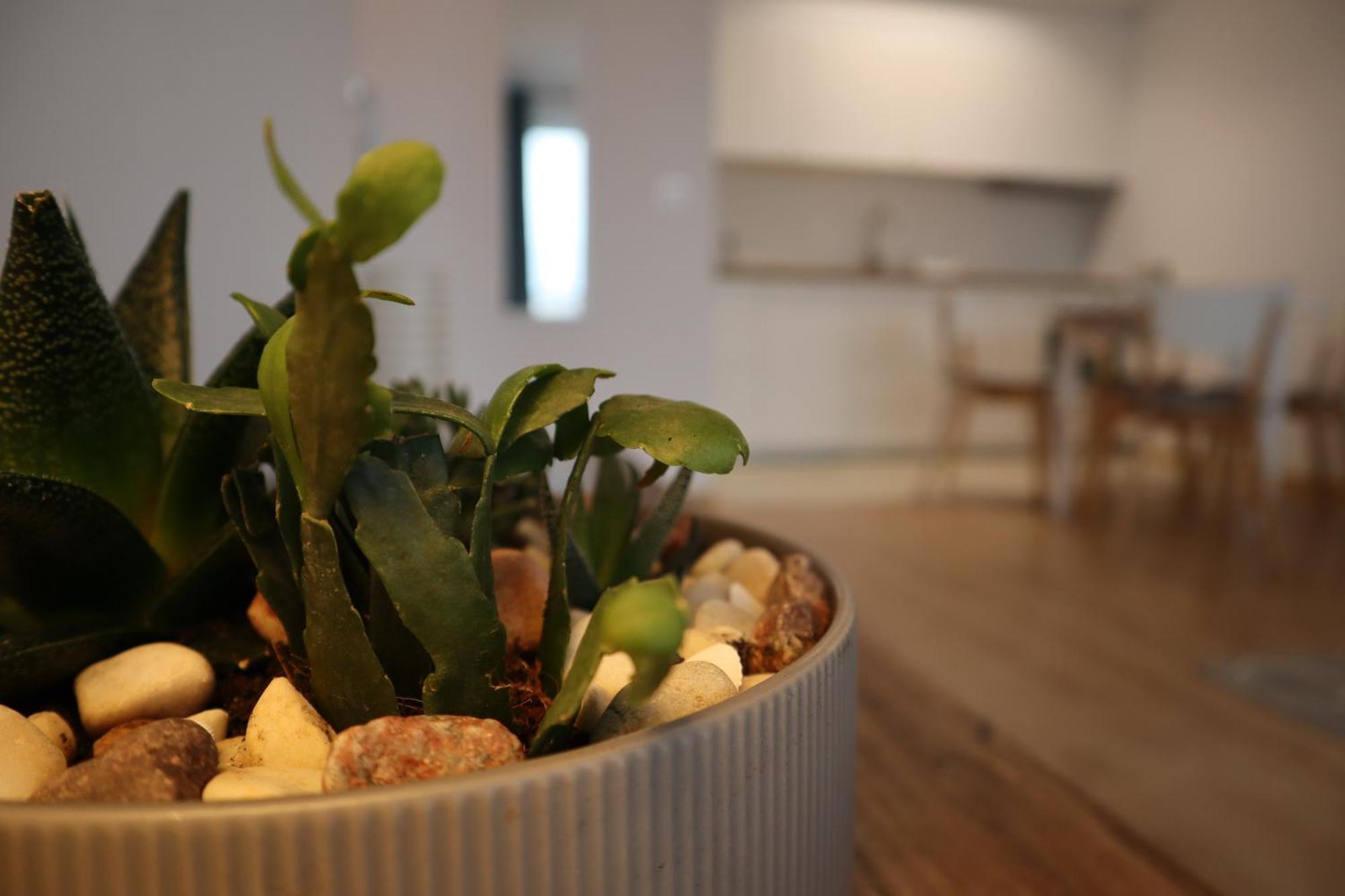 Apartament Na Ptasiej グダニスク エクステリア 写真